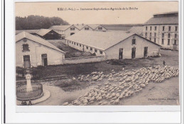 RILLE : Immense Exploitation Agricole De La Briche - Tres Bon Etat - Otros & Sin Clasificación