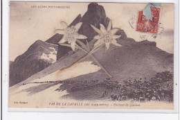 PAS DE LA CAVALLE : Les Alpes Pittoresques, Alt. 2939m, Edelweiss - Tres Bon Etat - Autres & Non Classés