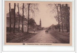 PLEUMARTIN - Route De Châtellerault - Très Bon état - Pleumartin