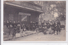 NERIS-les-BAINS : Souvenir De La Foire Aux Chevres, Les Chevres Attendant Leurs Nouveaux Maitres - Tres Bon Etat - Neris Les Bains