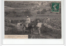 MELLECEY - Sulfatage Des Vignobles - état (déchirure) - Sonstige & Ohne Zuordnung