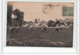 MISY SUR YONNE - La Prairie - Très Bon état - Andere & Zonder Classificatie