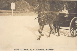 MARSEILLE : Photo LLORCA 76 C. Eieutaud, Attelage - Tres Bon Etat - Unclassified