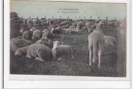 LA NORMANDIE : Troupeau De Moutons - Tres Bon Etat - Altri & Non Classificati