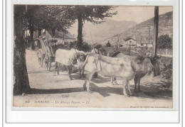 LOURDES - Un Attelage Paysan - Très Bon état - Lourdes