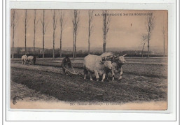 LA CAMPAGNE BOURBONNAISE - Travaux Des Champs - Le Labourage - Très Bon état - Autres & Non Classés