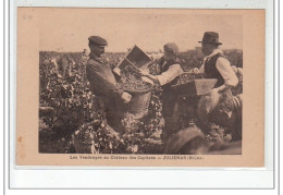 JULIENAS - Les Vendanges Au Château Des Capitans - Très Bon état - Julienas