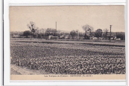 GONESSE : Les Tulipes De France - Tres Bon Etat - Gonesse