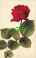 R589931 Roses. Tuck. Flower Postcard 6902. 1907 - Mondo