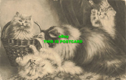 R589195 Cats. C. W. Faulkner. Series 1422. 1917. Augusta Talboys - Wereld