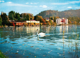 73631573 Bled Uferpartie Am Veldeser See Schwan Bled - Slovénie