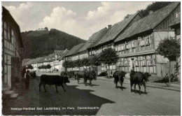 Bad Lauterberg - Damenkapelle - Bad Lauterberg