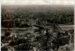 Dresden - Blick Von Den Loschwitzhöhen - Dresden