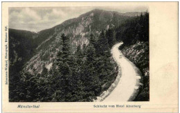 Münsterthal - Schlucht Vom Hotel Altenberg - Autres & Non Classés