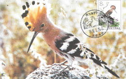 HOOPOE  Oiseau Hupette - Carte Chinoise - Birds