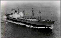 MS Caribia - Comercio