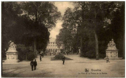 Bruxelles - Le Parc Et Le Palais De La Nation - Altri & Non Classificati