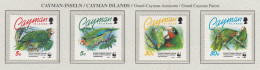 CAYMAN ISLANDS 1993 WWF Birds Parrots Mi 690-693 MNH(**) Fauna 836 - Perroquets & Tropicaux