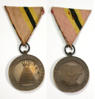 Médaille Civile-NG_001_The Republic Nigeria IST Decade 1963-1973 Medal_21-25-1 - Andere & Zonder Classificatie