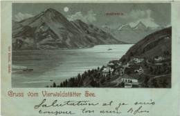 Vitznau - Schöneck - Litho - Vitznau