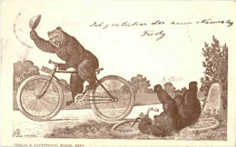 Bern - Bären - Bear - Fahrrad - Autres & Non Classés