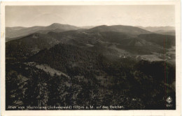 Hochblauen Bei Badenweiler - Badenweiler