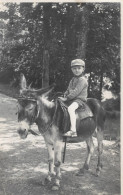 Carte Photo D'un Jeune Garçon Sur Un Ane Ou Mulet - Scènes & Paysages