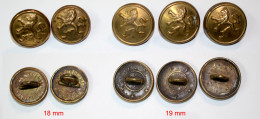 Militaria-BE-terre-boutons_18 Et 19mm_lion Héraldique Légèrement Bombé Doré_21-14-2_5 Pièces - Uitrusting