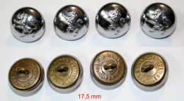 Militaria-BE-terre-boutons_17,5mm_lion Héraldique Fortement Bombé Argenté_21-14-2_4 Pièces - Ausrüstung