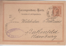 ITALIA Lettera Trieste  Piazza-Guiseppina, 5 Mar. 1891 A Oldenberg, Germania - Marcophilie