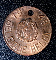 Jeton De Taxe Sur Les Chiens "Année 1949 Belgique / Belgie" Dog License Tax Tag - Monedas / De Necesidad