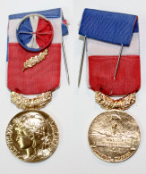 Médaille Civile-FR_003b_Honneur Et Travail_Or_35 Ans_2006_21-09 - Profesionales / De Sociedad