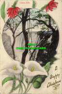 R589993 Victoria Falls. A Happy Christmas. G. B. 208 L. Rhodesia. 1909 - Mundo