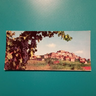 Cartolina Chianciano Paese - Panorama. Viaggiata 1966 - Siena