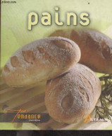 Pains - Tendance Recettes - CHAUMETON HERVE - COLLECTIF - 2007 - Gastronomie