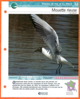 MOUETTE RIEUSE Oiseau Illustrée Documentée  Animaux Oiseaux Fiche Dépliante - Animals