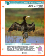 GRAND CORMORAN Oiseau Illustrée Documentée  Animaux Oiseaux Fiche Dépliante - Animaux