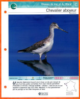 CHEVALIER ABOYEUR Oiseau Illustrée Documentée  Animaux Oiseaux Fiche Dépliante - Animals