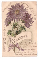 RICURA // MOTIVO FLORAL // 1905 - Autres & Non Classés