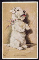 Postcard - 1938 - Dogs - White Dog "A Loyal Subject" - Hunde