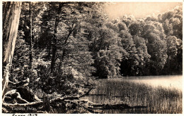 Argentina Bariloche Laguna Frias Real Photo Postcard Ca1930 - Argentine