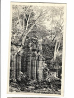 Misiones - Ruinas De San Ignacio   - 7102 - Argentinien