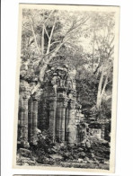 Misiones - Ruinas De San Ignacio   - 7102 - Argentine