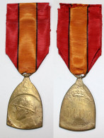 Médaille-BE-201_Médaille Commémorative De La Guerre 14-18_WW1_R02_ 21-07-1_D - Belgium