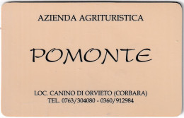 Calendarietto - Azienda Agrituristica - Pomonte - Loc.canino Di Orvietto  - Corbara - Anno 1998 - Tamaño Pequeño : 1991-00