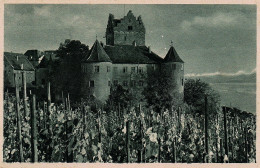 Meersburg Am Bodensee Castle Vines Grape - Castelli