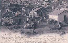 Scènes Alpines, Les Chalets D'Ai VD, Troupeau Et Berger (13.8.1906) - Other & Unclassified