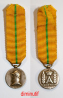 Médaille-BE-403-I-di_Médaille Commémorative Du Règne Du Roi Albert 1er-1909-1934_diminutif_21-29 - Belgium