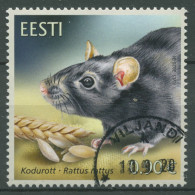 Estland 2020 Tiere Die Ratte 997 Gestempelt - Estland