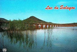 *CPM - 34 - CLERMONT L'HERAULT - Le Lac Du Salagou - Vestiges D'un Aqueduc - Clermont L'Hérault